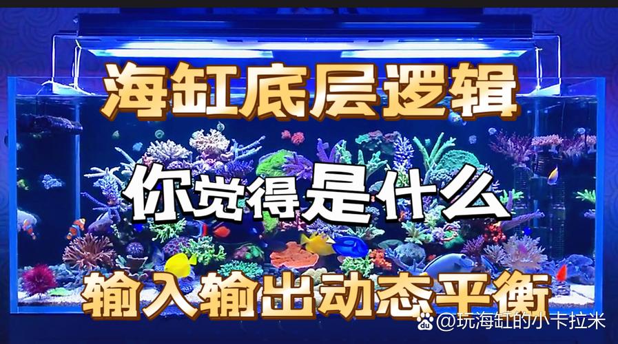 admin 第70页