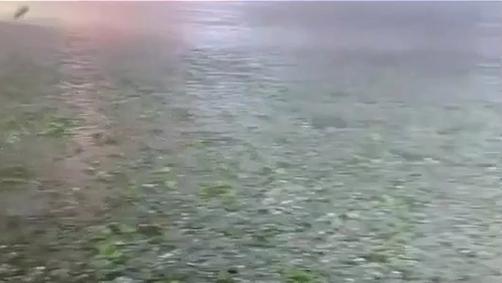 西安冰雹致百车被砸,西安冰雹视频